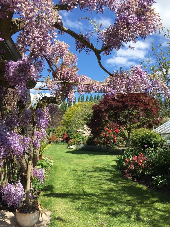 ホテルRhododendron Garden クライストチャーチ エクステリア 写真