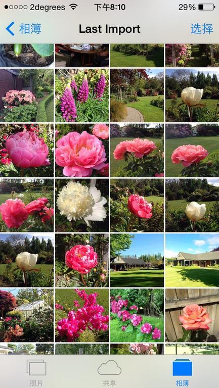 ホテルRhododendron Garden クライストチャーチ エクステリア 写真