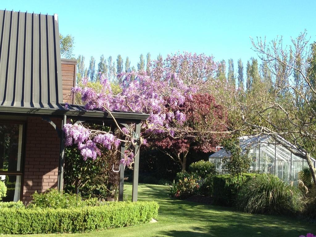 ホテルRhododendron Garden クライストチャーチ 部屋 写真