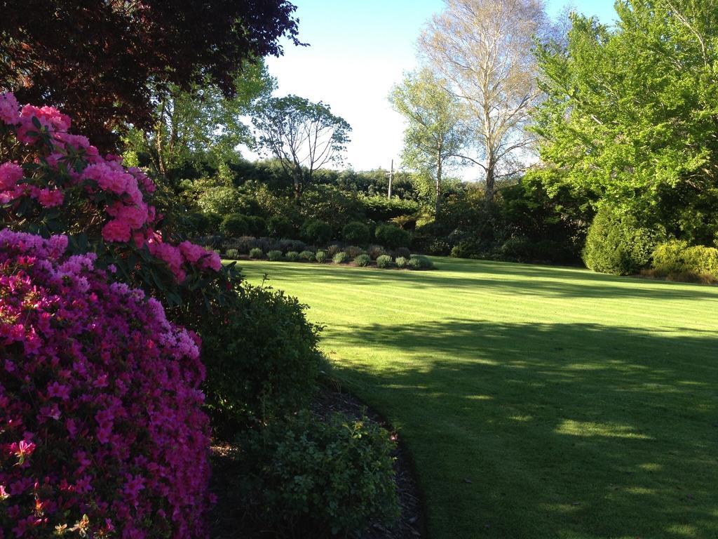 ホテルRhododendron Garden クライストチャーチ 部屋 写真
