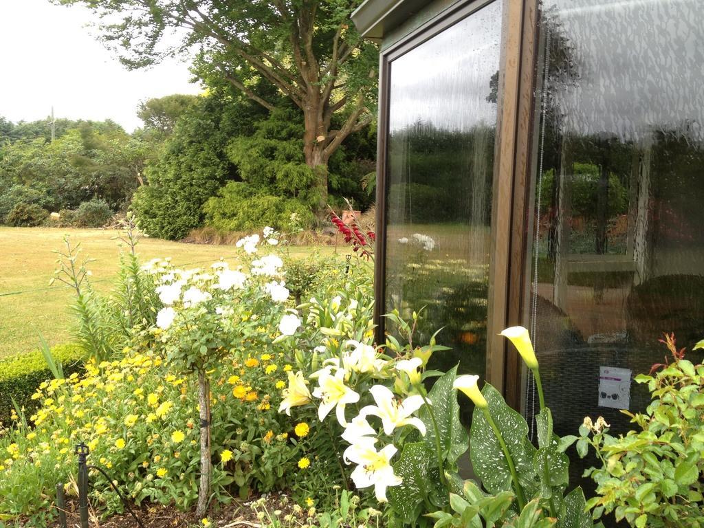 ホテルRhododendron Garden クライストチャーチ 部屋 写真