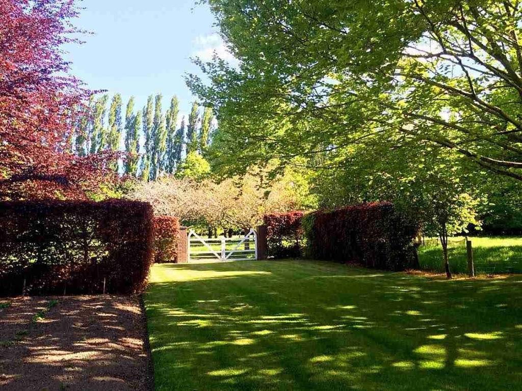 ホテルRhododendron Garden クライストチャーチ 部屋 写真